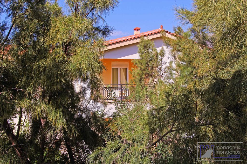 Monachus Monachus Appartement